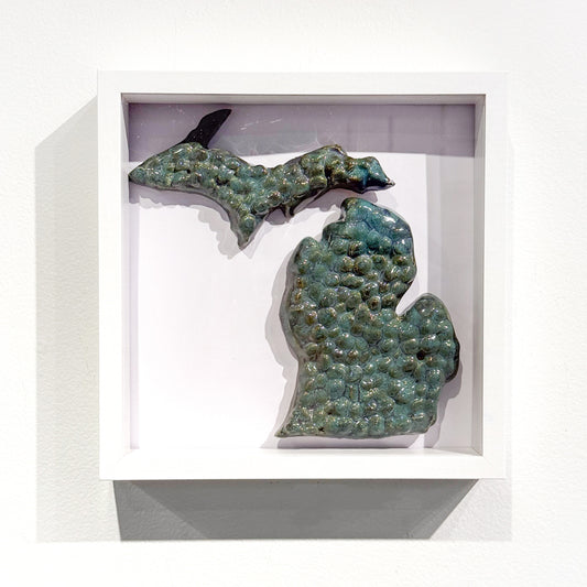 Michigan Shadow Box
