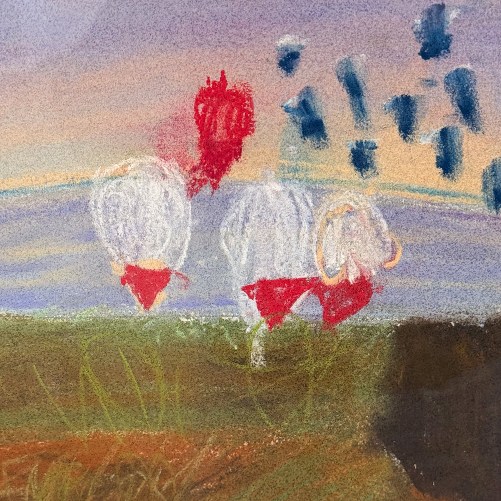 Look Up at The Hot Air Balloons