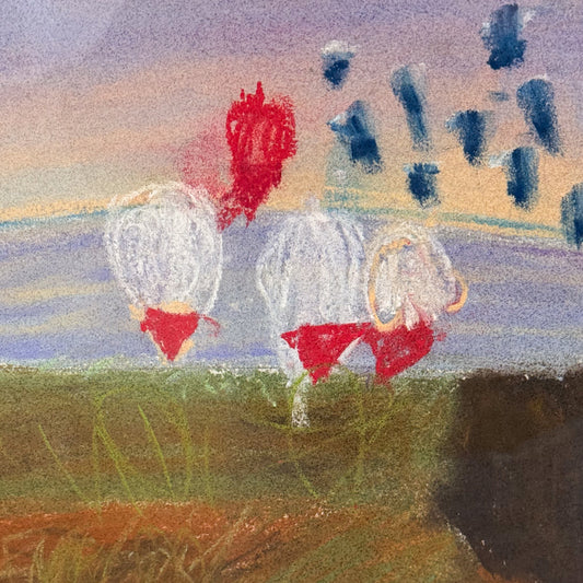 Look Up at The Hot Air Balloons