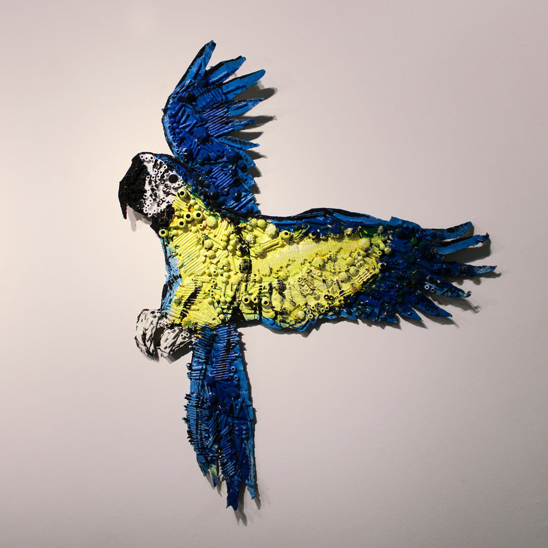 Reclaimed Birds (Blue Macaw)