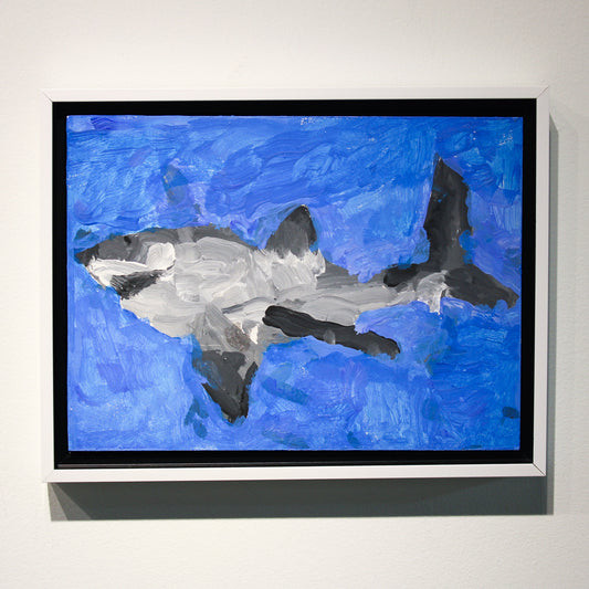 Baited Shark