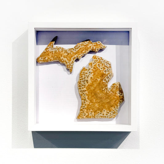 Michigan Shadow Box