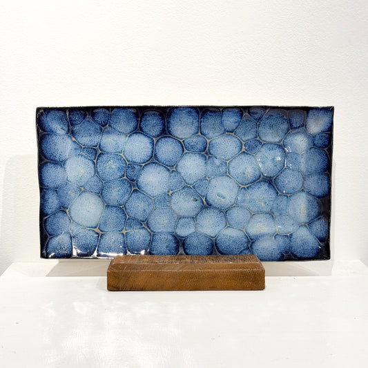Frozen Pond Tray