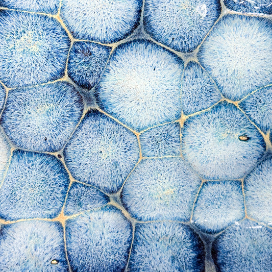 Frozen Pond Tray