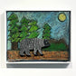 Bears in the Forest, Daytime